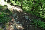 08 Risalito per buon tratto nel bosco prendo il sent. a destra